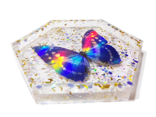 Holo Butterfly Tray 1 - Butterfly and Moon Glitter - Ready to Ship