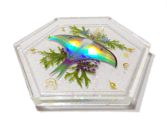 Holo Luna Moth Tray 1 - Luna Moth with flowers and foliage - Ready to Ship