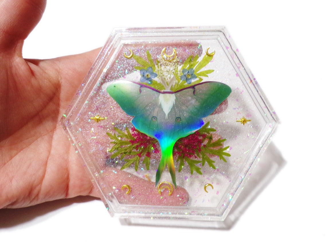 Holo Luna Moth Tray 2 - Luna Moth with flowers and foliage - Ready to Ship