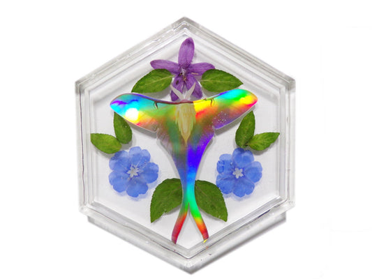 Eden Moth Tray#1 - Holographic Luna Moth Tray Dish - Resin Art - ValenwoodVixen - Ready to Ship