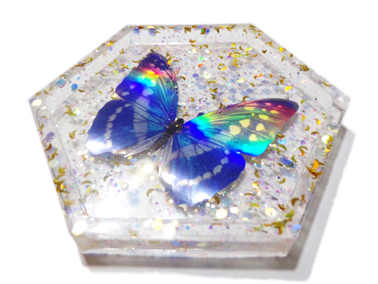 Holo Butterfly Tray 1 - Butterfly and Moon Glitter - Ready to Ship