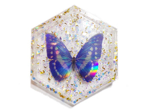 Holo Butterfly Tray 1 - Butterfly and Moon Glitter - Ready to Ship