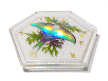 Load image into Gallery viewer, Holo Luna Moth Tray 1 - Luna Moth with flowers and foliage - Ready to Ship
