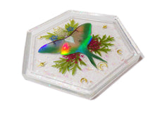 Load image into Gallery viewer, Holo Luna Moth Tray 2 - Luna Moth with flowers and foliage - Ready to Ship

