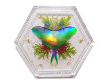 Load image into Gallery viewer, Holo Luna Moth Tray 2 - Luna Moth with flowers and foliage - Ready to Ship
