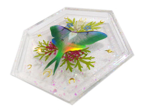 Holo Luna Moth Tray 2 - Luna Moth with flowers and foliage - Ready to Ship