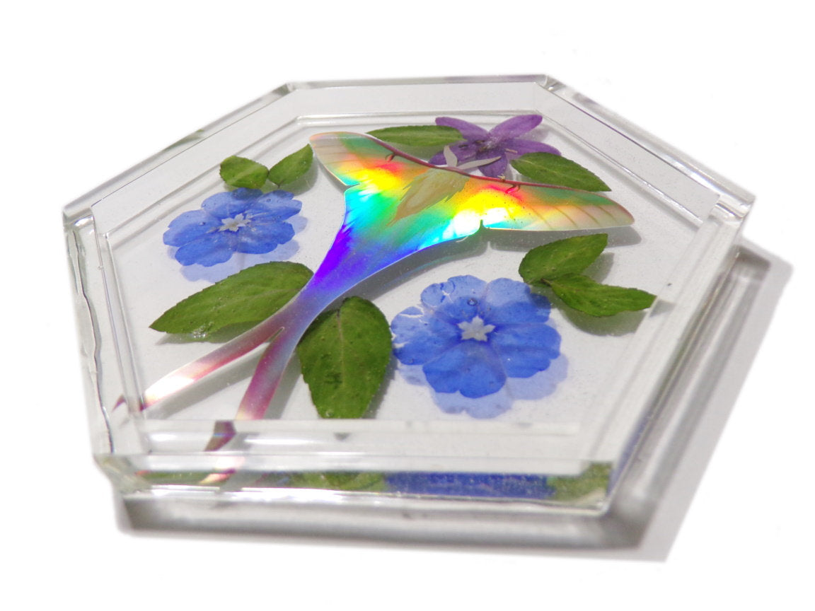 Eden Moth Tray#1 - Holographic Luna Moth Tray Dish - Resin Art -  ValenwoodVixen - Ready to Ship