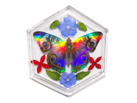 Eden Butterfly Tray#1 - Holographic Butterlfy Tray Dish - Resin Art - ValenwoodVixen - Ready to Ship