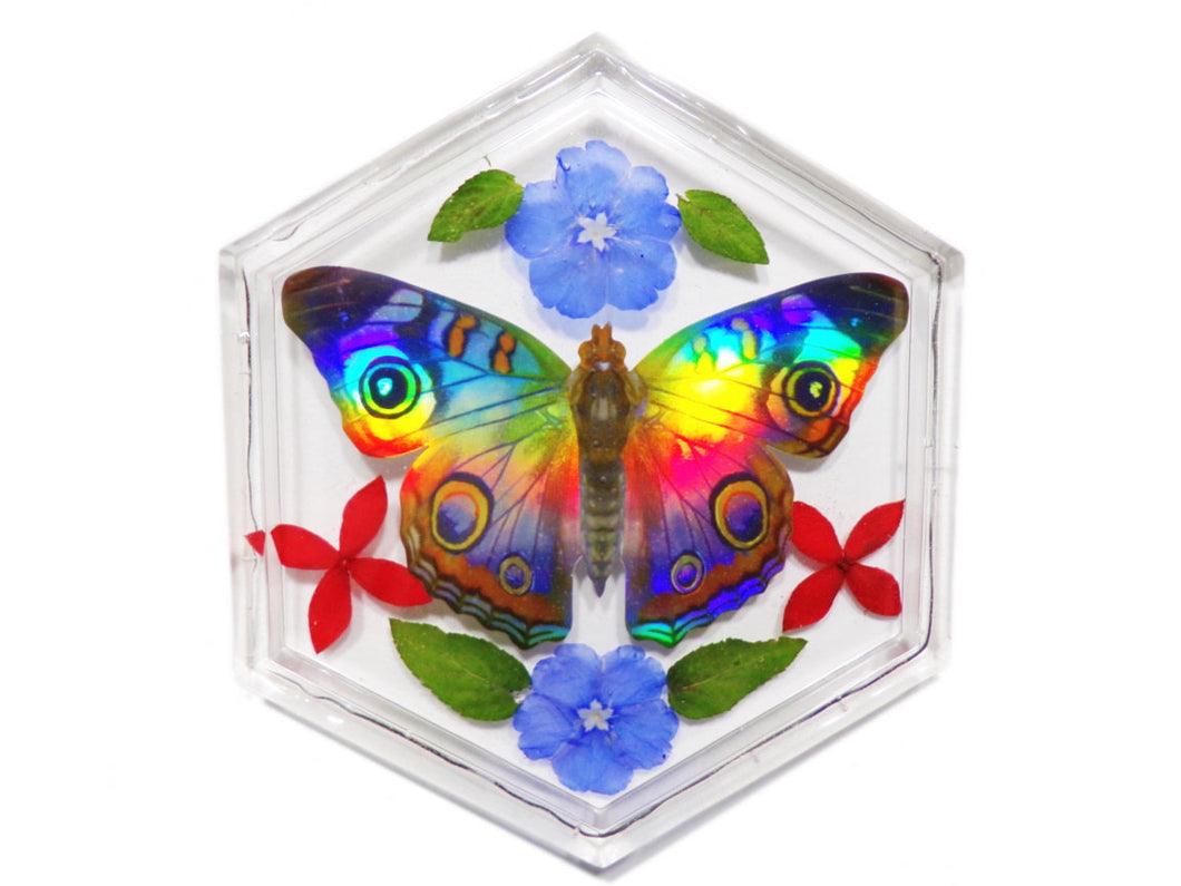 Eden Butterfly Tray#1 - Holographic Butterlfy Tray Dish - Resin Art -  ValenwoodVixen - Ready to Ship